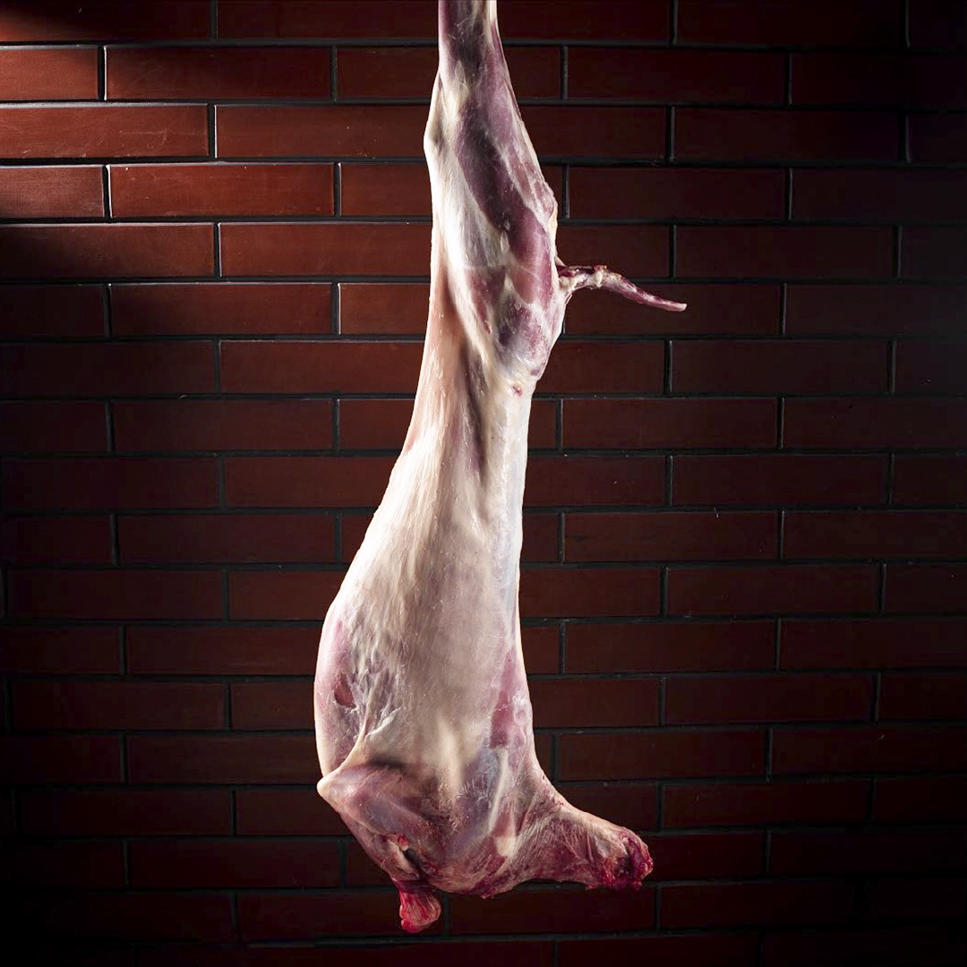 Mutton Carcass Whole